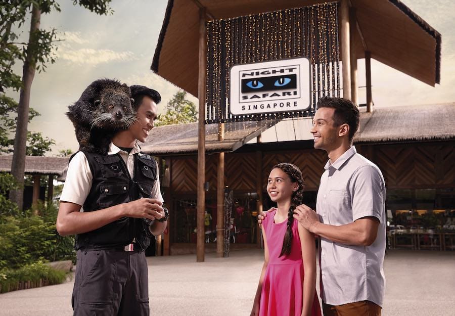 คู่มือเที่ยว “Singapore Night Safari” สิงคโปร์ แบบครบจบในที่เดียว! แนะนำวิธีเดินทาง ราคาบัตร ส่วนลด และขั้นตอนการจอง