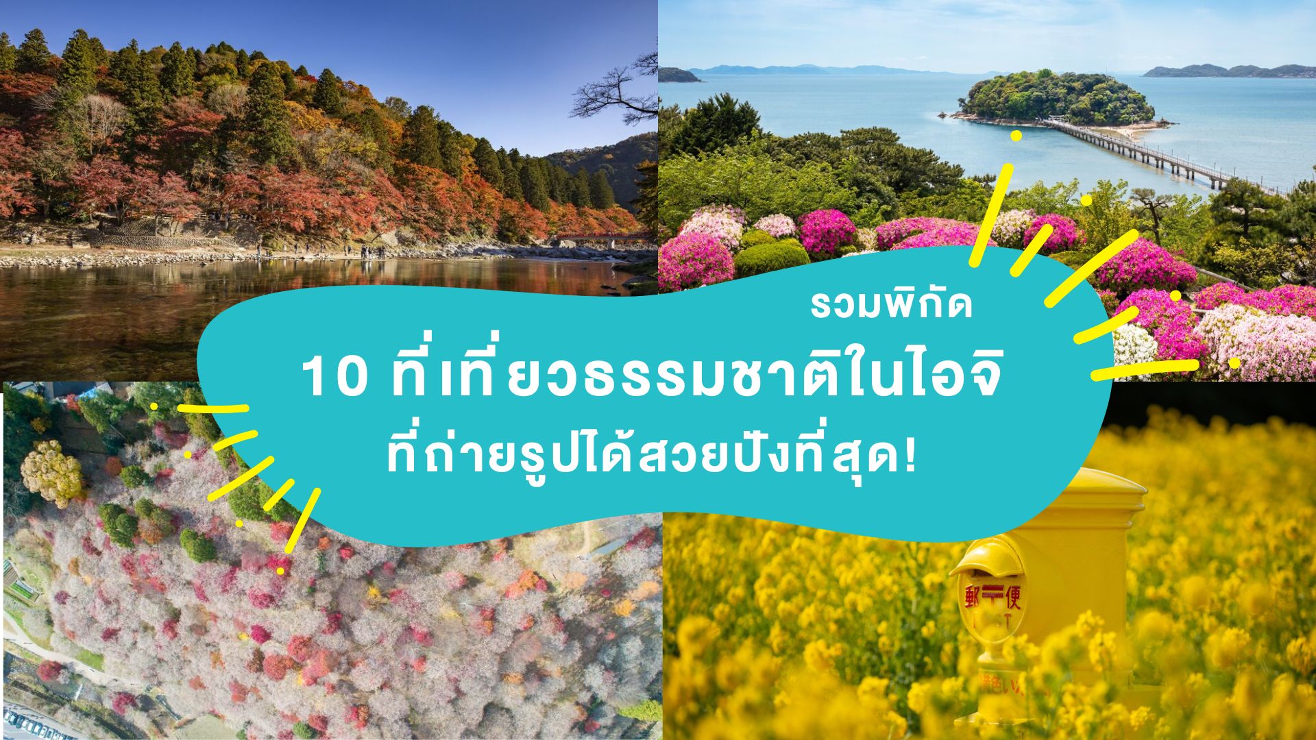 รวมพิกัด 10 ที่เที่ยวธรรมชาติในไอจิ ที่ถ่ายรูปได้สวยปังที่สุด!