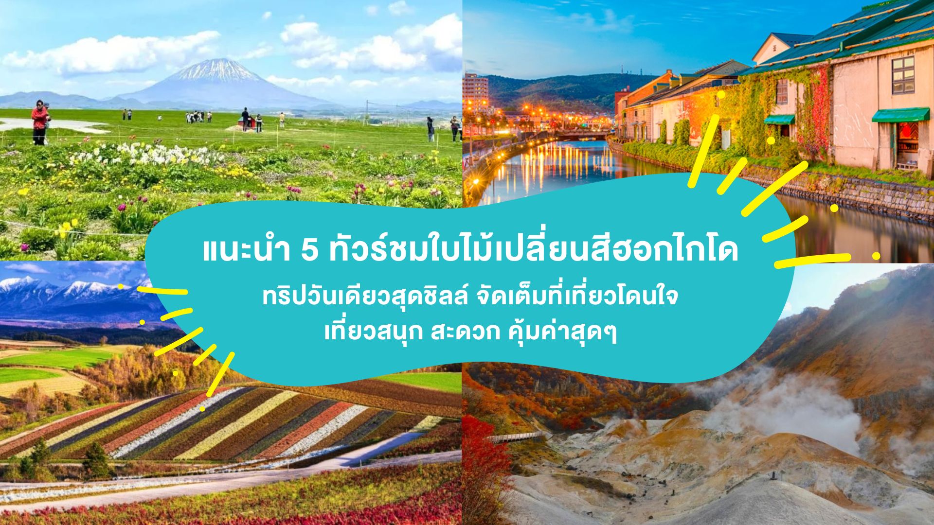 แนะนำ 5 ทัวร์ชมใบไม้เปลี่ยนสีฮอกไกโด ทริปวันเดียวสุดชิลล์ จัดเต็มที่เที่ยวโดนใจ เที่ยวสนุก สะดวก คุ้มค่าสุดๆ