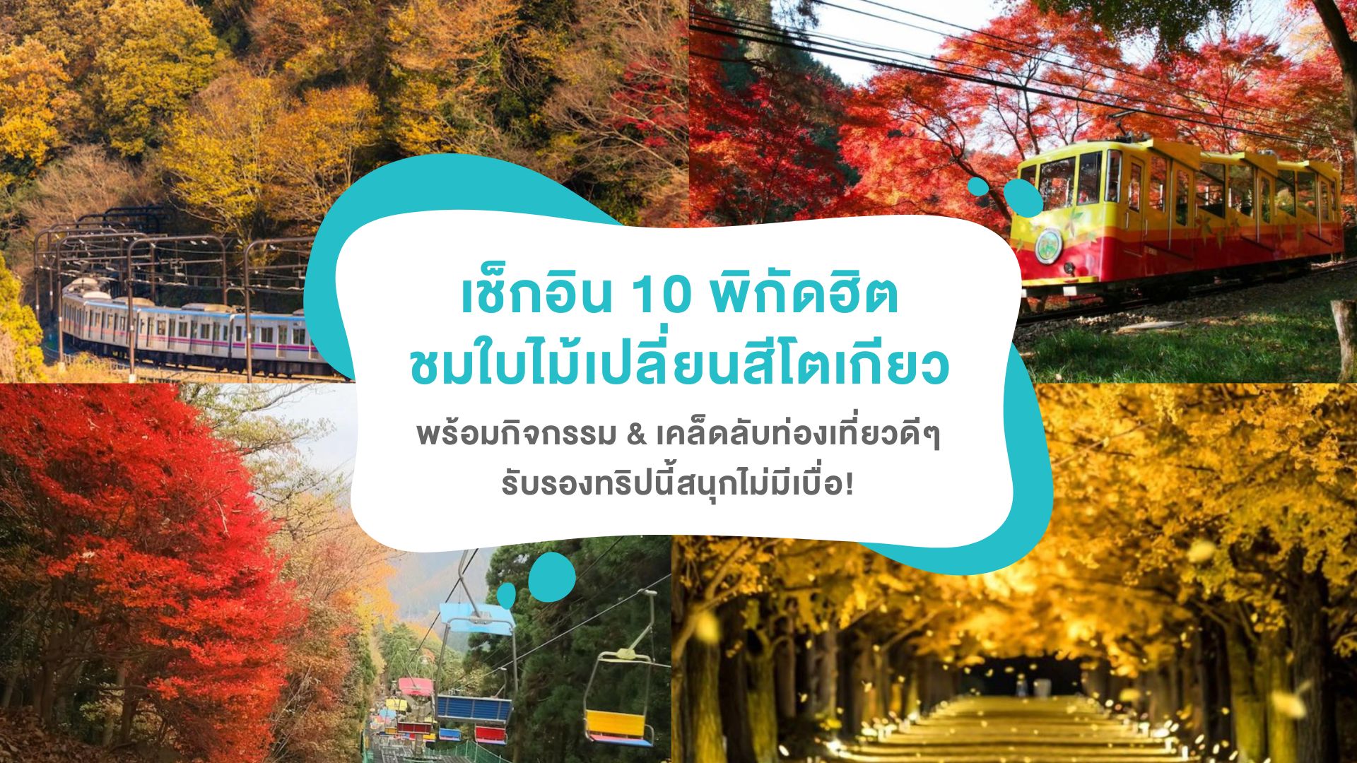 เช็กอิน 10 พิกัดฮิตชม ใบไม้เปลี่ยนสีโตเกียว 2025 พร้อมกิจกรรม &#038; เคล็ดลับท่องเที่ยวดีๆ รับรองทริปนี้สนุกไม่มีเบื่อ!