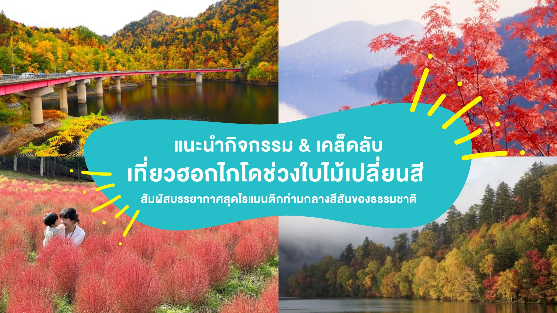 แนะนำกิจกรรม &#038; เคล็ดลับ เที่ยวฮอกไกโดช่วงใบไม้เปลี่ยนสี สัมผัสบรรยากาศสุดโรแมนติกท่ามกลางสีสันของธรรมชาติ
