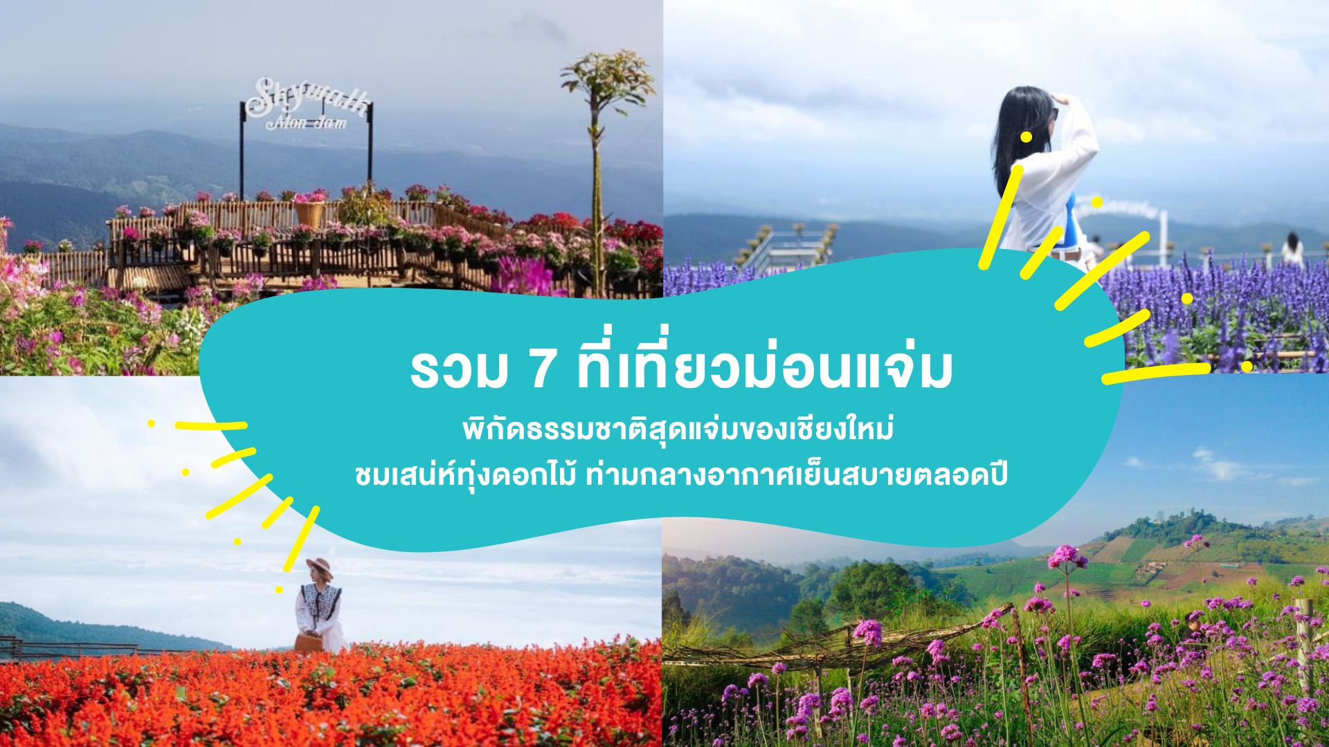 รวม 7 ที่เที่ยวม่อนแจ่ม พิกัดธรรมชาติสุดแจ่มของเชียงใหม่ ชมเสน่ห์ทุ่งดอกไม้ ท่ามกลางอากาศเย็นสบายตลอดปี