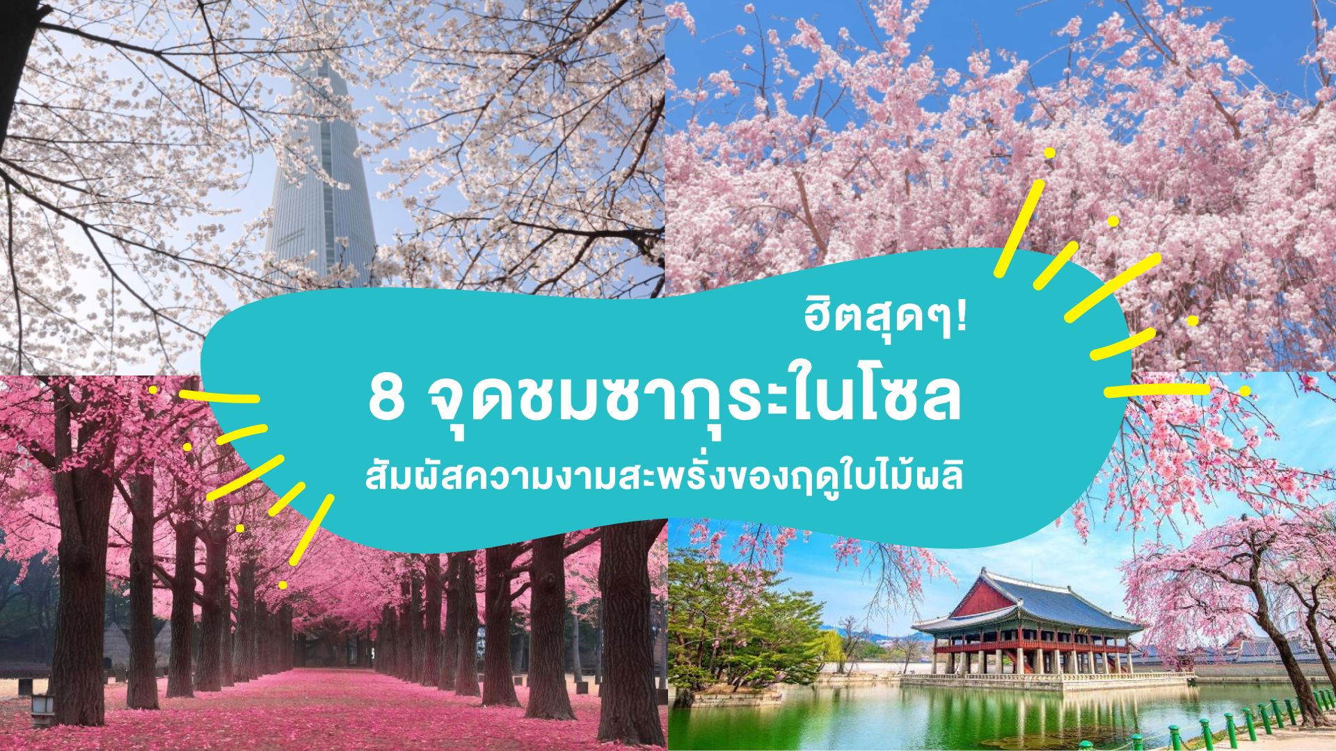 ฮิตสุดๆ! 8 จุดชมซากุระในโซล 2025 สัมผัสความงามสะพรั่งของฤดูใบไม้ผลิ ( Seoul Sakura attractions 2025 )