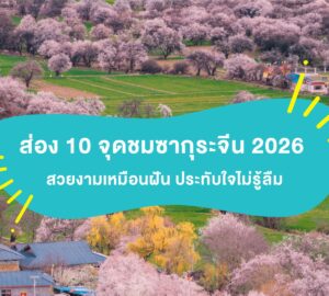 ภาพทิวทัศน์ชนบทในประเทศจีนที่รายล้อมด้วย "ซากุระจีน" สีชมพูบานสะพรั่ง สะท้อนบรรยากาศฤดูใบไม้ผลิที่งดงาม