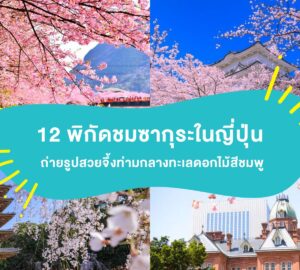 ซากุระญี่ปุ่น 2026 Japan Sakura 2026