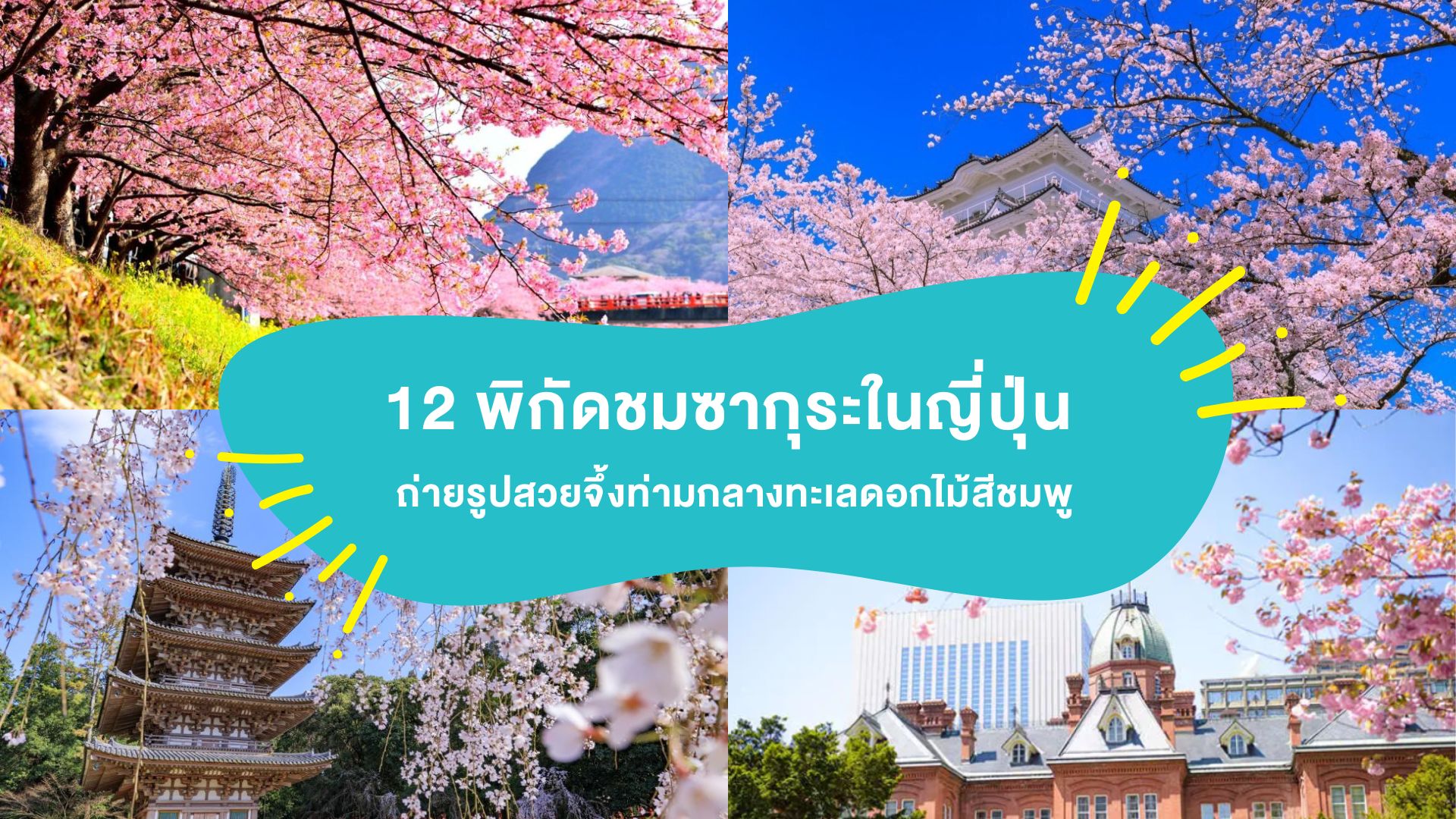 แจก 12 พิกัดจุดชม ซากุระญี่ปุ่น 2026 ถ่ายรูปสวยจึ้งท่ามกลางทะเลดอกไม้สีชมพู ( Japan Sakura 2026 )