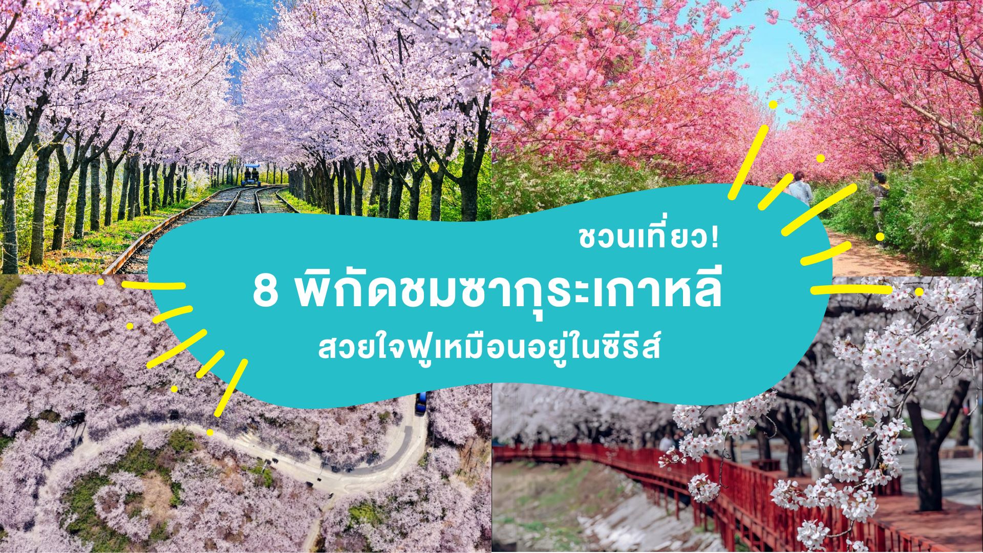 ชวนเที่ยว! 8 พิกัดชม ซากุระเกาหลี 2025 สวยใจฟูเหมือนอยู่ในซีรีส์ ( Korea Sakura 2025 )
