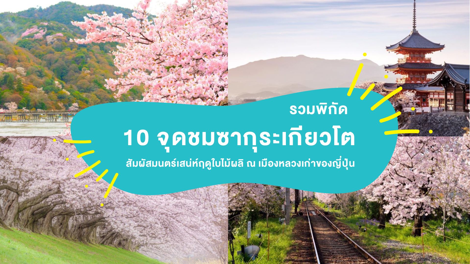 รวมพิกัด 10 จุดชม ซากุระเกียวโต 2026 สัมผัสมนตร์เสน่ห์ฤดูใบไม้ผลิ ณ เมืองหลวงเก่าของญี่ปุ่น
