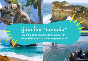 ภาพคอลลาจคู่มือเที่ยวเมลเบิร์น มีโคอาลา วิวชายฝั่ง Great Ocean Road ซุ้มหินริมทะเล และทริปล่องเรือชมวิวในเมลเบิร์น