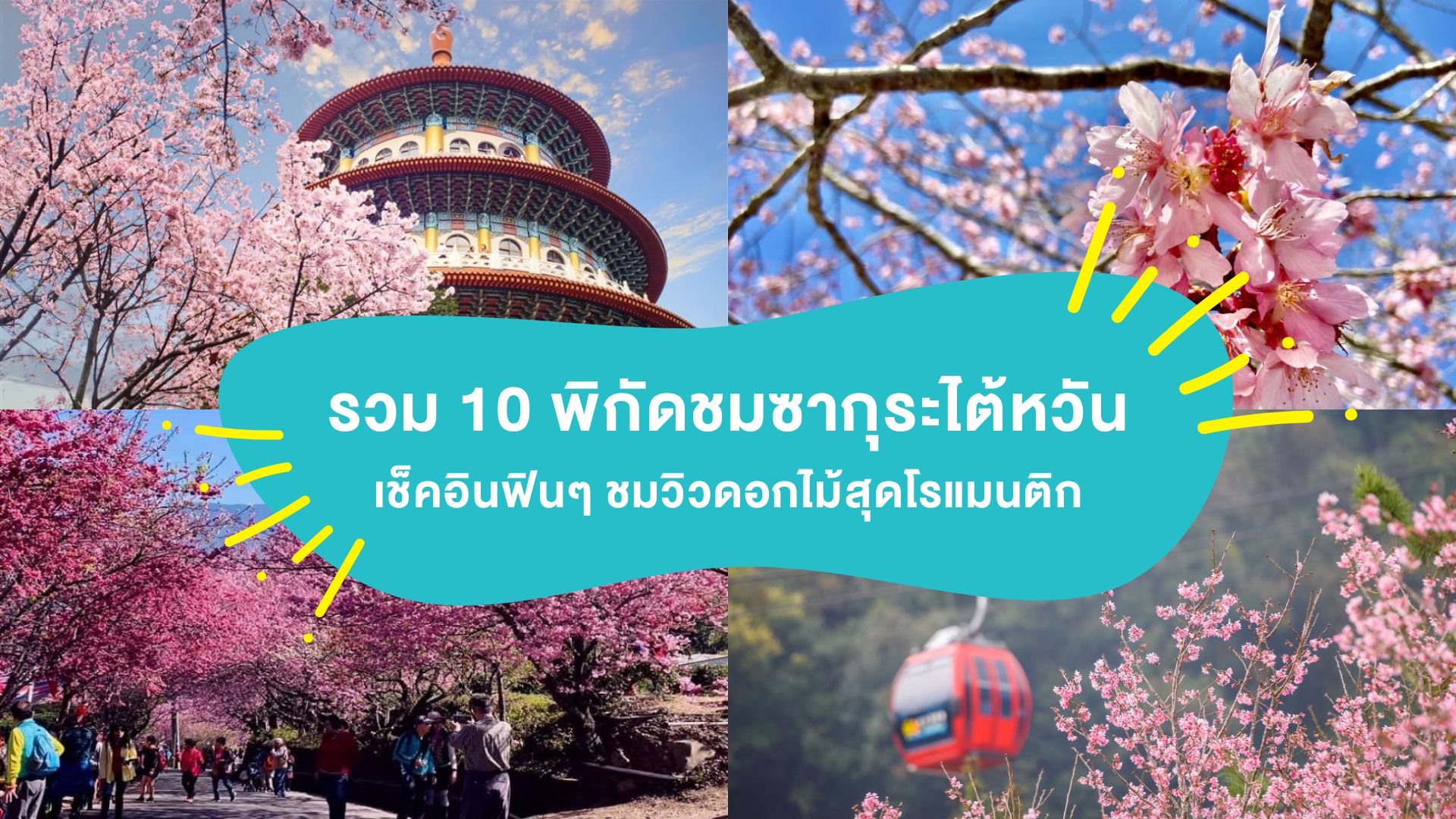 รวม 10 พิกัดชม ซากุระไต้หวัน 2026 เช็คอินฟินๆ ดูวิวดอกไม้สุดโรแมนติก ( Taiwan Sakura 2026 )
