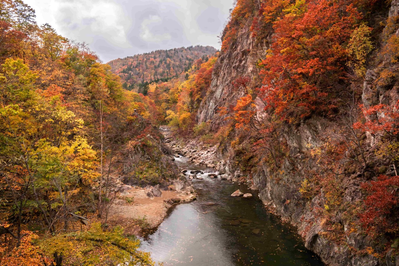 เที่ยวฮอกไกโด (Hokkaido) ครั้งแรก เตรียมตัวยังไง ?