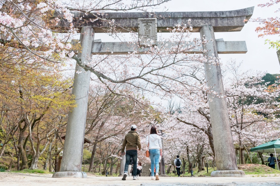 福岡自由行5天4夜全攻略｜行程規劃・交通・住宿・必買門票一次搞定