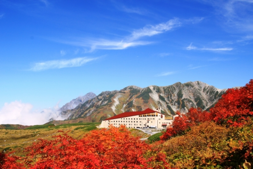 【立山黑部紅葉2026】三段紅葉賞楓攻略、行程、交通費用一篇睇晒！