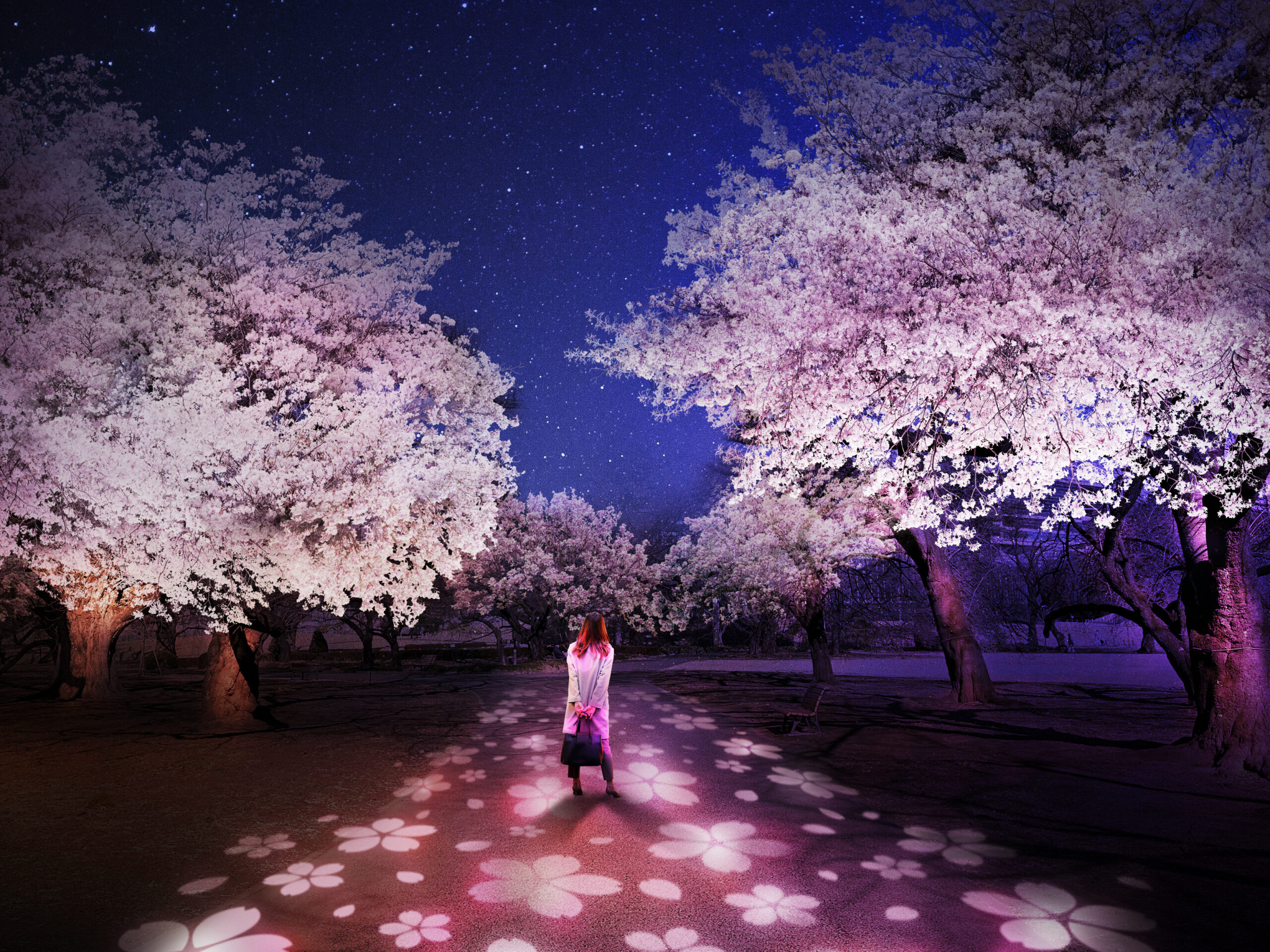 2023 03 sakuragyoen pers sakuraroad fin scaled