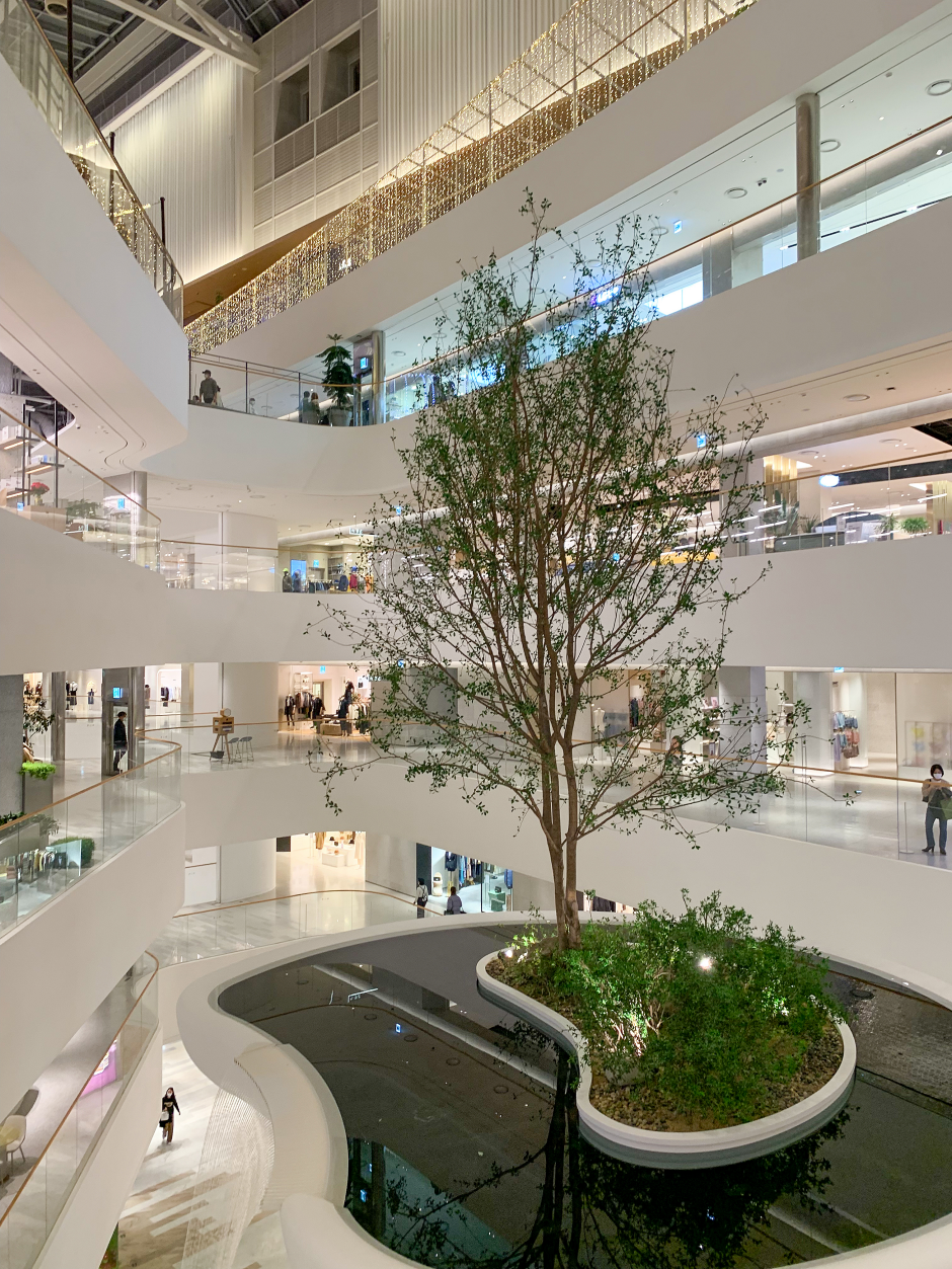 韓國】必到首爾景點：汝矣島全攻略2026！到訪知名汝矣島漢江公園、超好買現代百貨！｜附交通指南