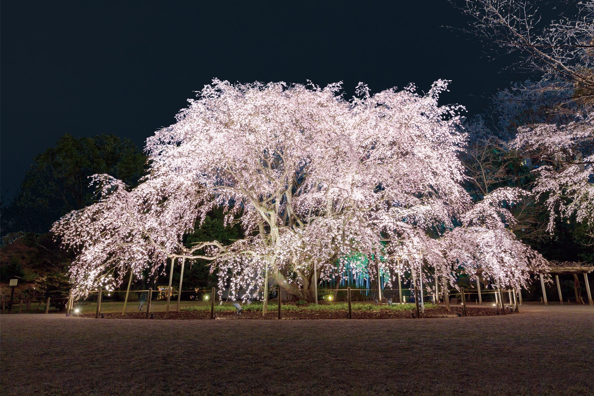 六義園