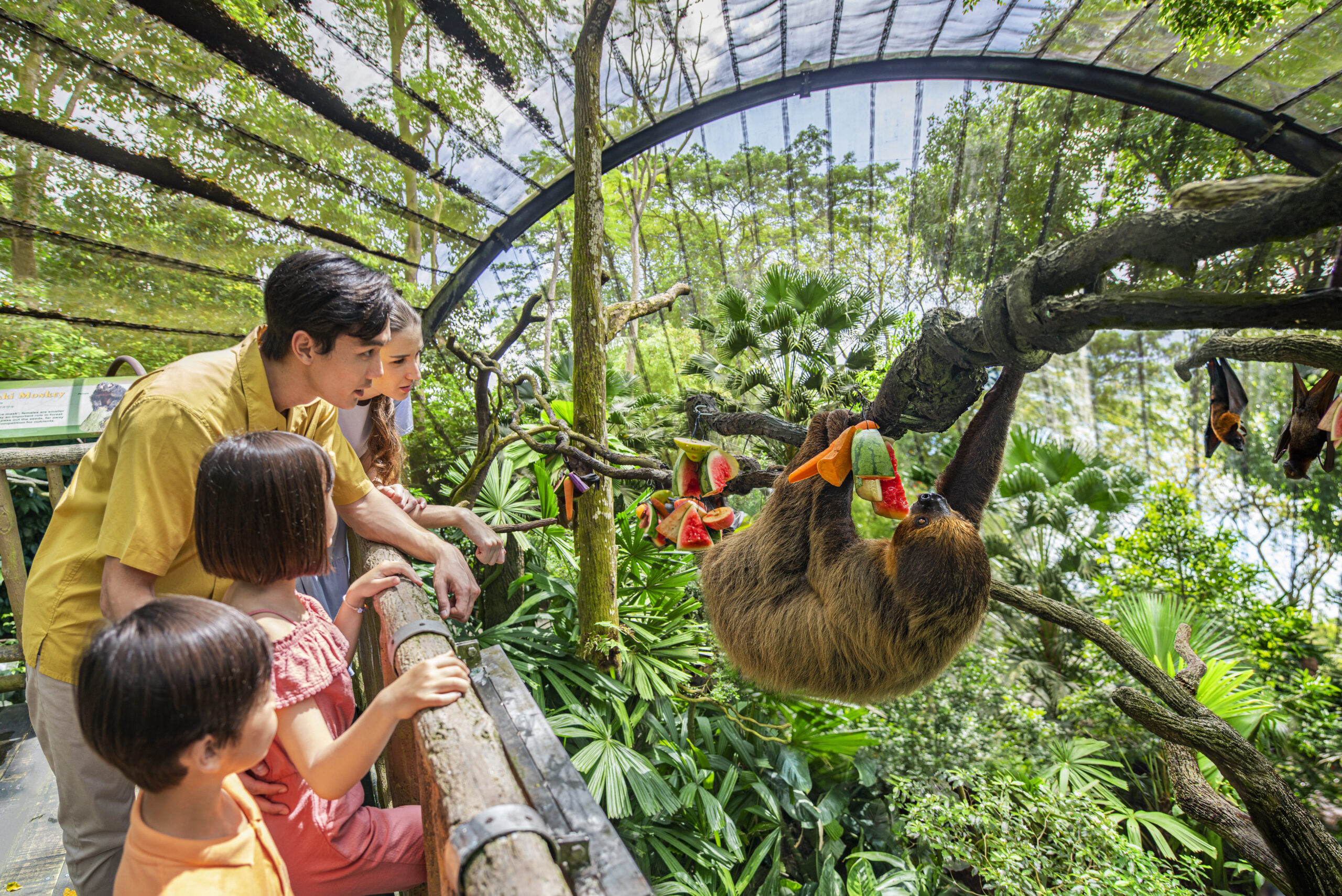 【新加坡】新加坡動物園攻略2025｜5大園區天書：玩盡萬態野生動物世界 (門票/交通/行程終極懶人包)