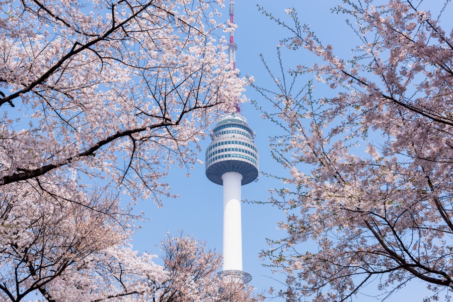 【2026首爾自由行攻略】景點、行程、交通、費用完全攻略一篇睇晒！