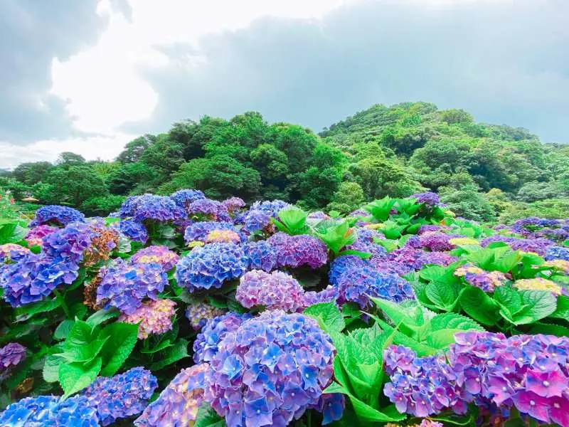 【2026台北親子景點】TOP 10必去推薦：樂園、農場、免費好去處全攻略！