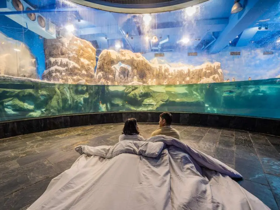 台灣親子遊：跟團？自由行？為你的家庭量身打造完美旅程！