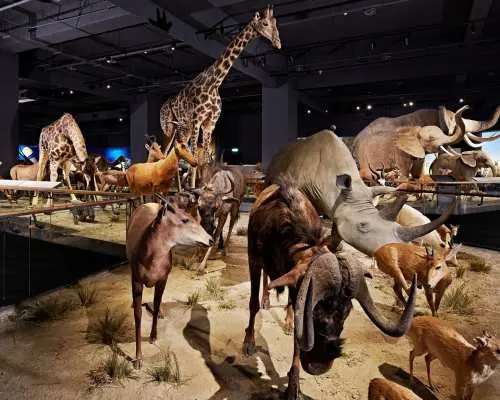 台南親子遊全攻略：奇美博物館、左鎮化石園區、南瀛天文館行程與門票指南