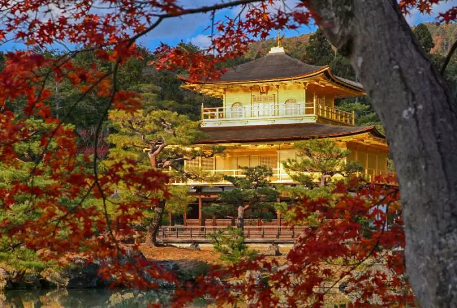 【2025京都自由行】一篇搞定！京都景點美食、交通、必買伴手禮全攻略