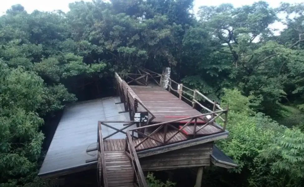 【2025鹿兒島自由行】一篇搞定！鹿兒島景點美食、交通、必買伴手禮全攻略