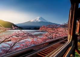 新幹線搭乘景觀：如何欣賞富士山與選位指南