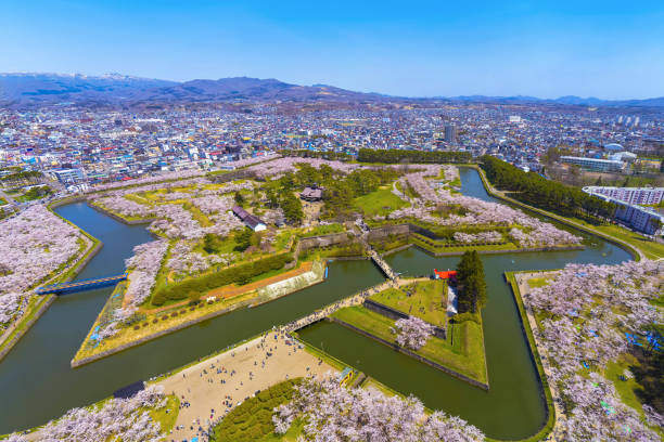【札幌去函館新幹線攻略2026】東京直達・轉乘北斗號・交通懶人包一篇睇晒！