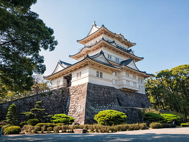 東京去小田原新幹線完整指南：路線、時間與票價說明（大阪出發亦適用）