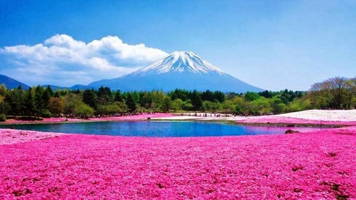 日本山梨縣富士本栖湖渡假村