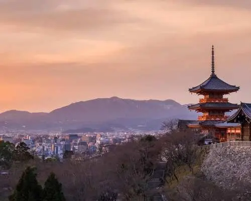 博多/小倉往返大阪/新大阪/神戶新幹線交通終極指南