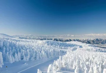 山形，四季分明的自然秘境，藏王樹冰與溫泉最吸睛！