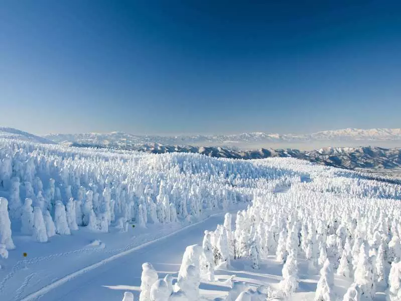 【日本】最新山形景點推介2025｜玩轉藏王樹冰、銀山溫泉！必訪景點+交通終極攻略！