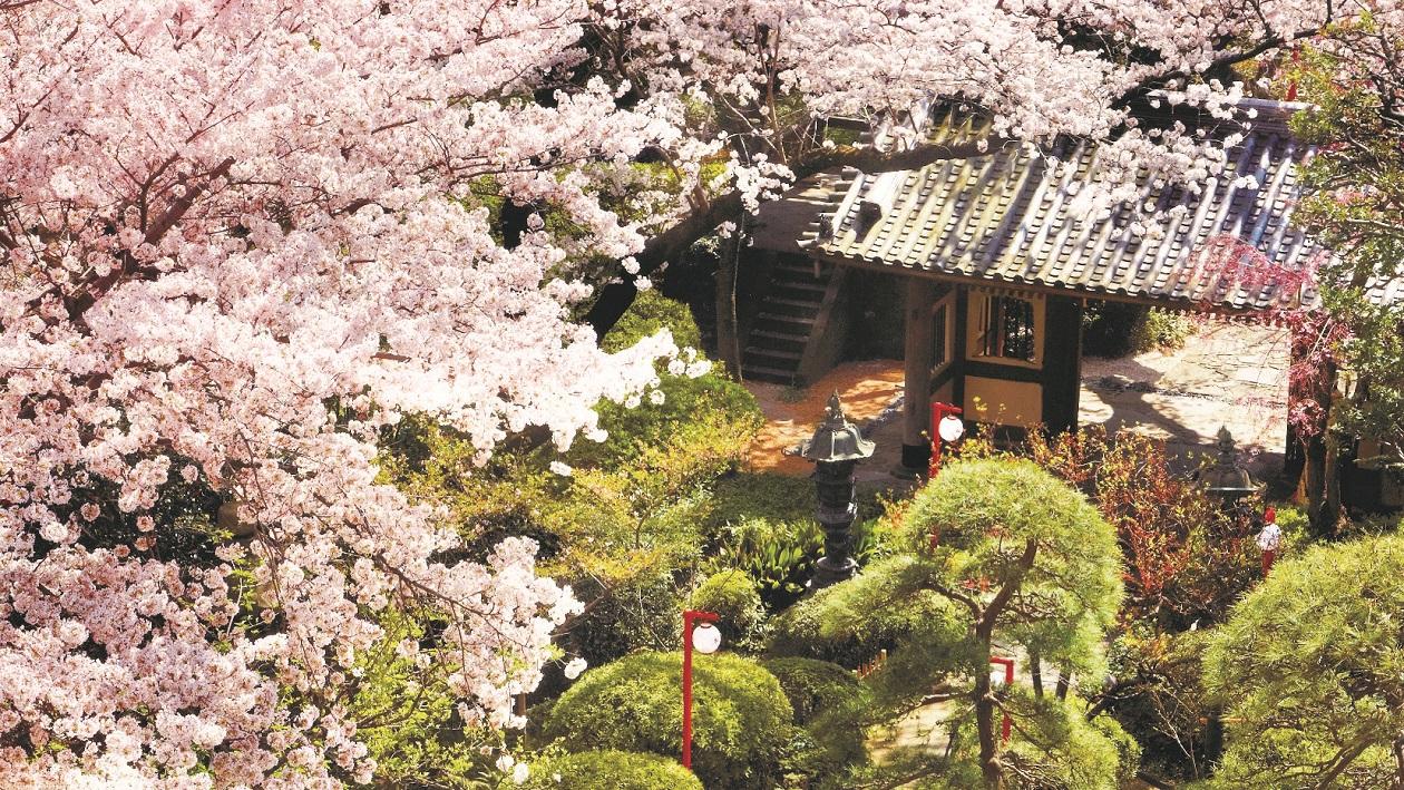高輪日式庭園