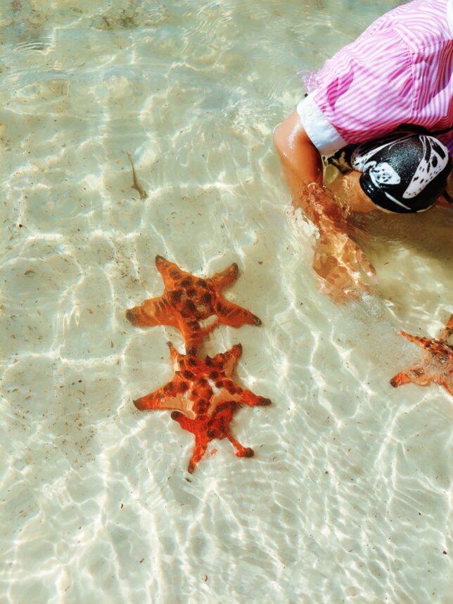 富國島 海星沙灘