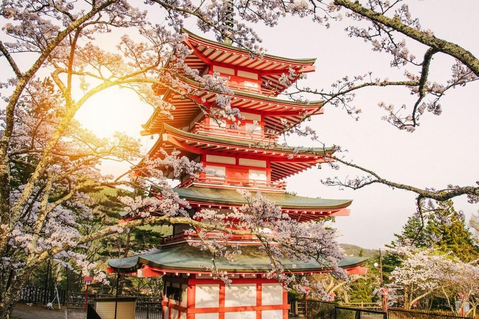 日本山梨縣新倉山淺間公園