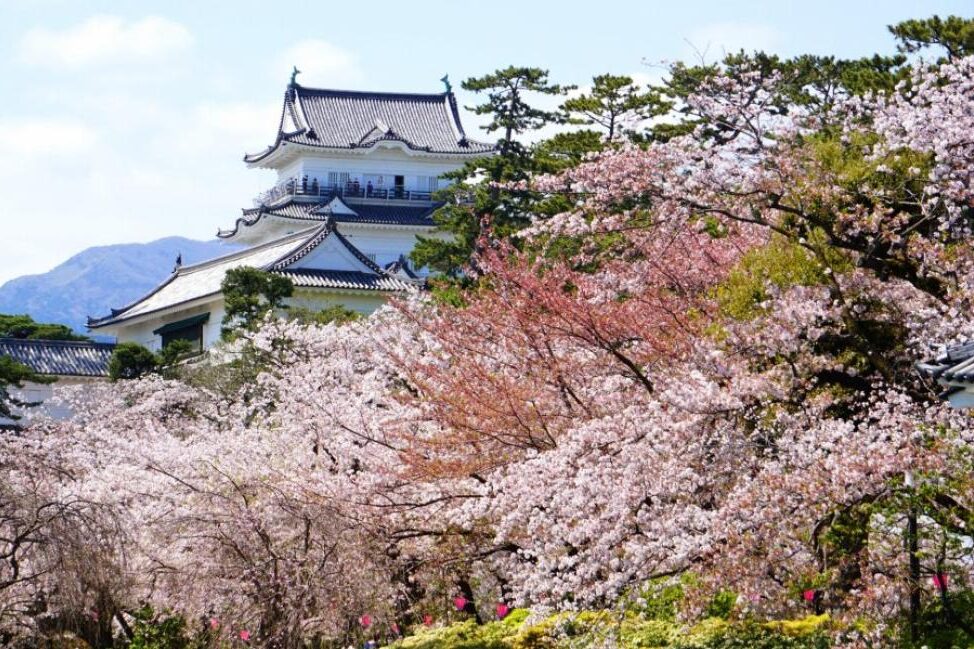 日本神奈川縣小田原城址公園