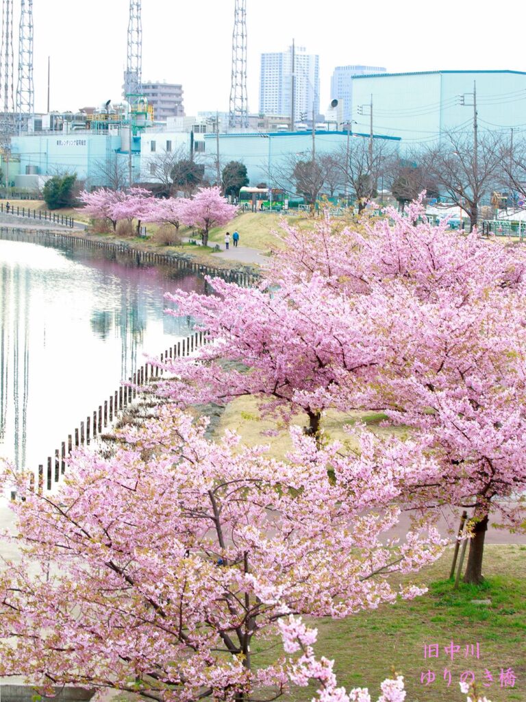 舊中川