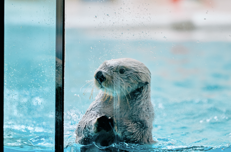 來一趟感受生命，體驗與三重縣的美好大自然接觸的靜修之旅