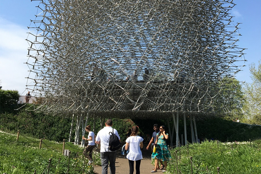英國皇家植物園 the hive 