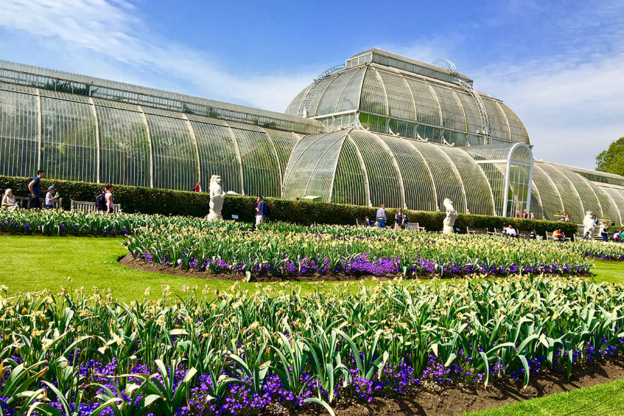 英國皇家植物園Palm House