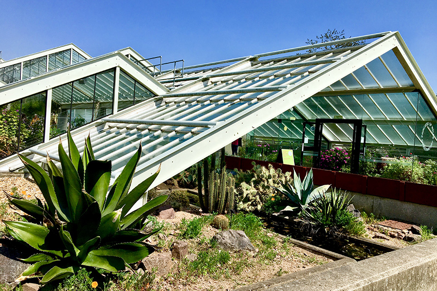 英國皇家植物園Princess of Wales Conservatory