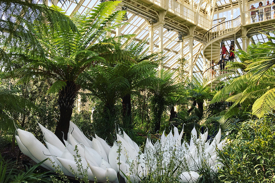 英國皇家植物園Temperate House