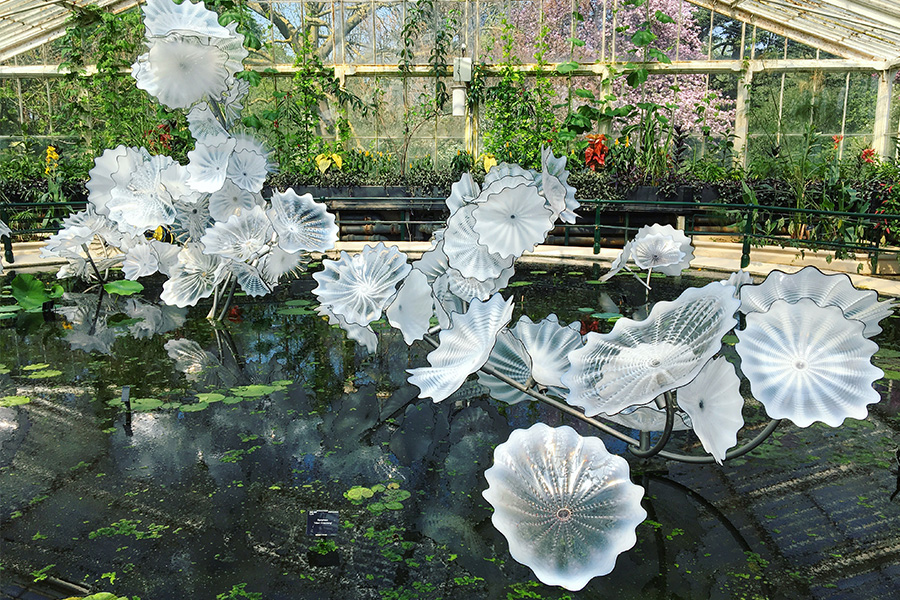 英國皇家植物園Waterlily House