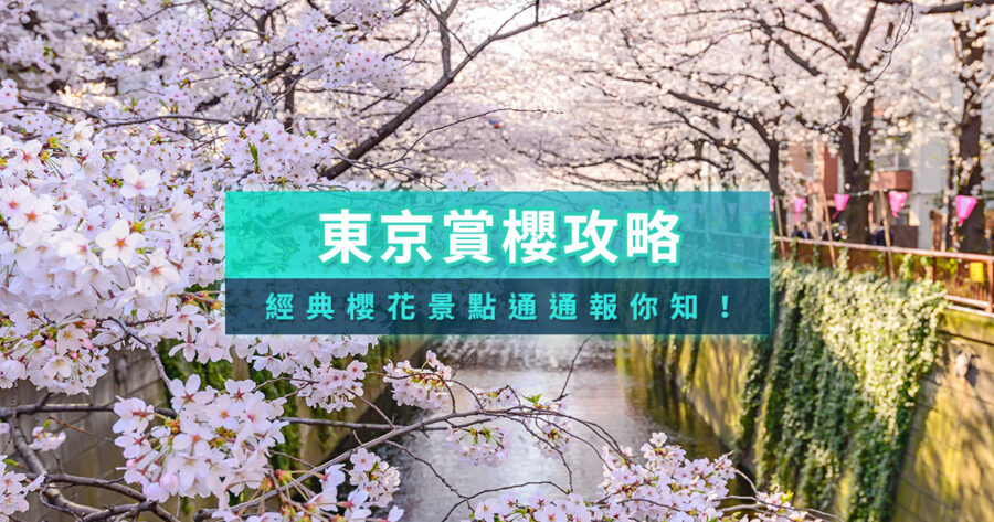 東京櫻花什麼時後開？2026東京櫻花季/預測/時間/景點/現況懶人包