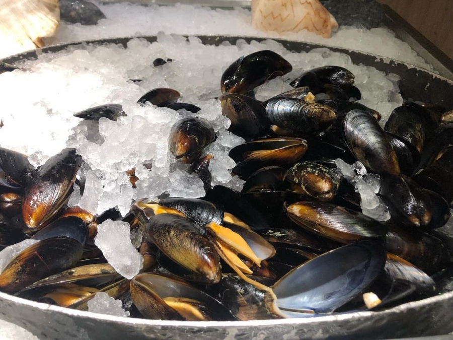 277216918 647656222966361 5091193762799895568 n