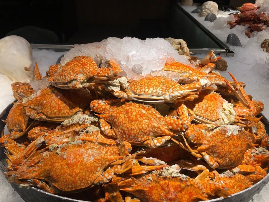 277292058 7078318655576813 8149402215938860596 n