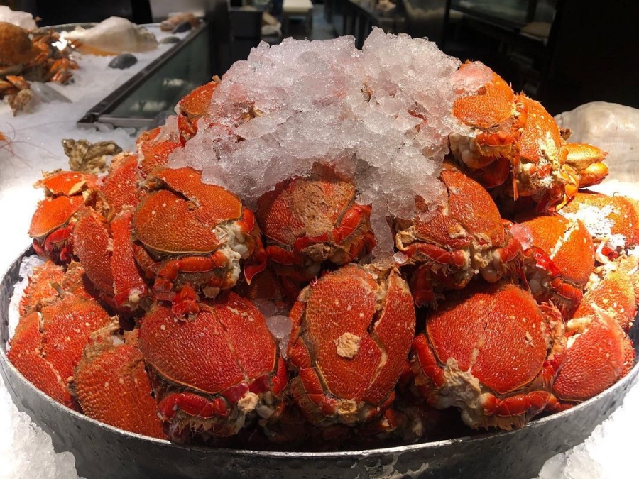 277415893 496006931906882 330790677811676613 n