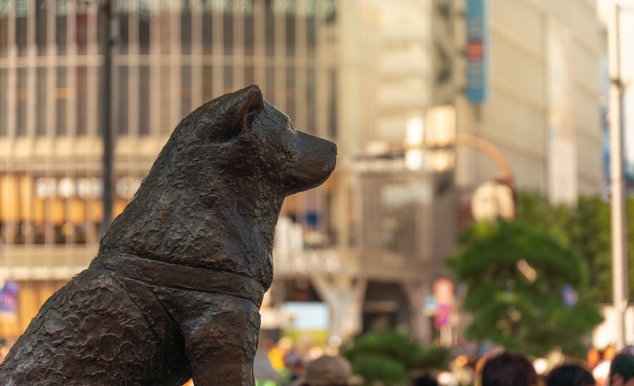 東京地鐵-東京交通-銀座線-澀谷-忠犬八公銅像